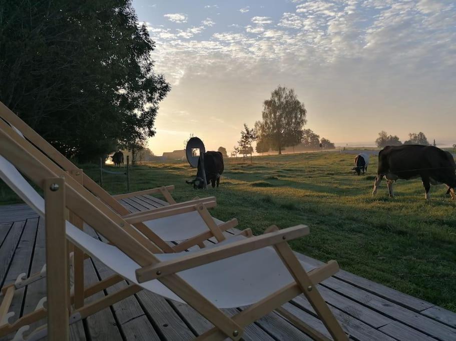 5Sterne Ferienwohnung Im Fachwerk Mit Bergblick In Alleinlage Und Grossem Garten, Infrarotkabine Humberg Exterior foto